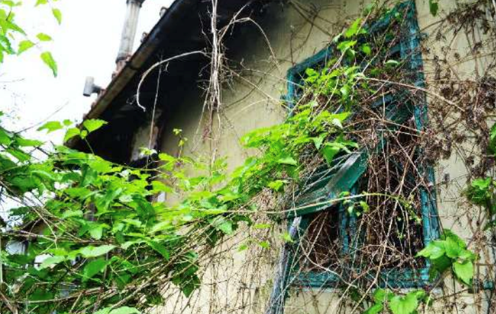 immagine annuncio 6 di 13