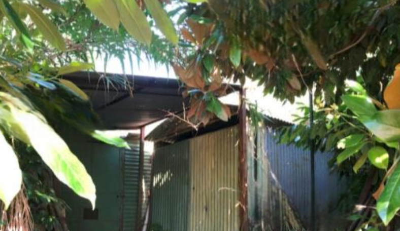 immagine annuncio 3 di 13