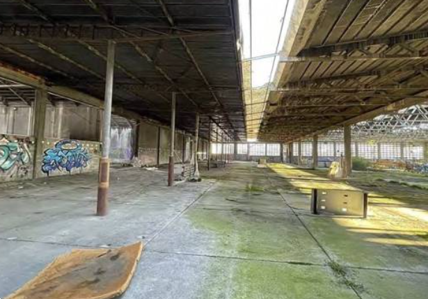 immagine annuncio 12 di 13