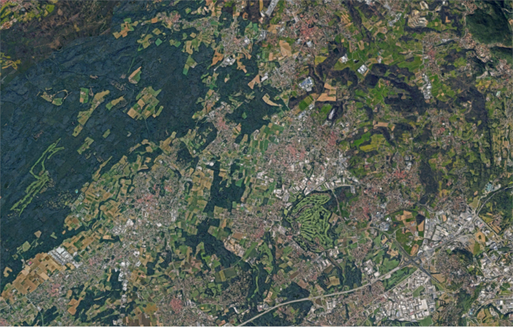 immagine annuncio 9 di 13