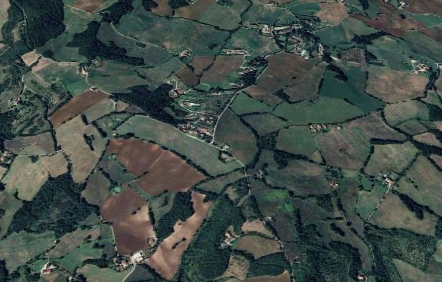 immagine annuncio 9 di 13