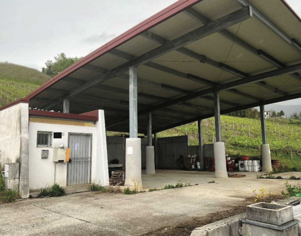 immagine annuncio 1 di 13