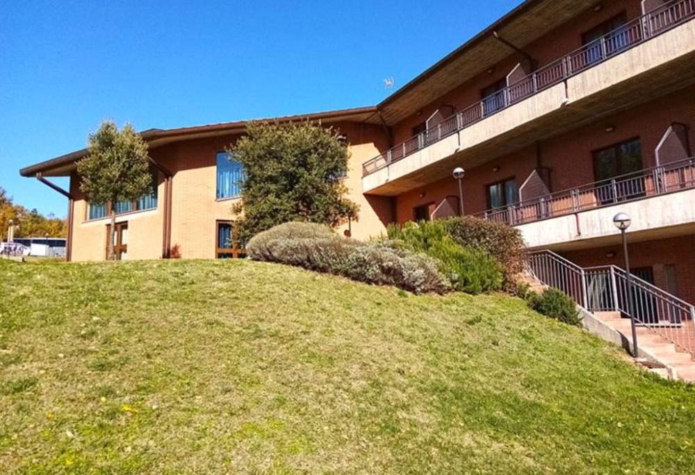 immagine annuncio 2 di 13