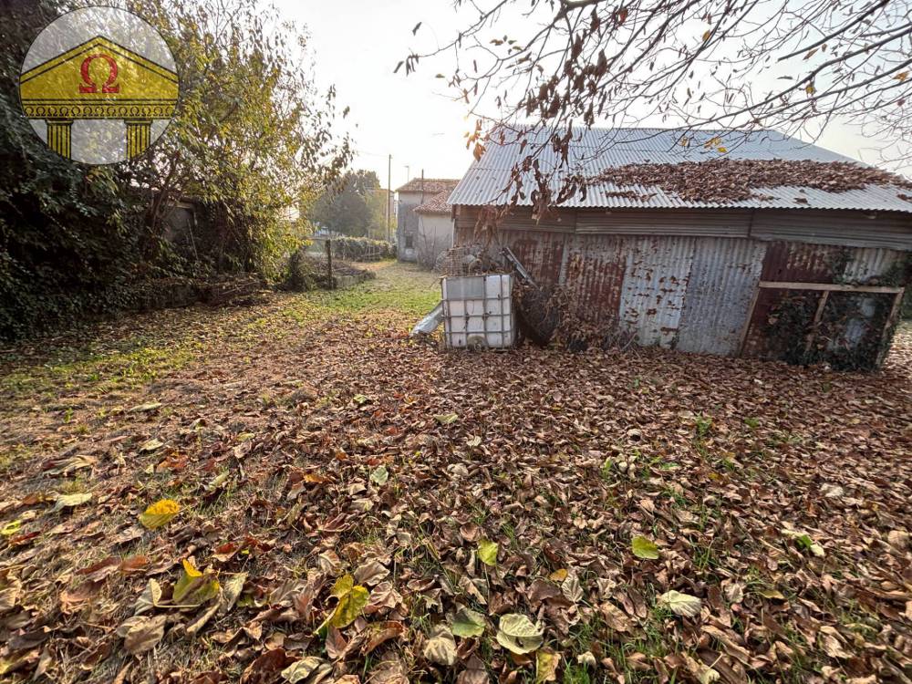 immagine annuncio 2 di 7