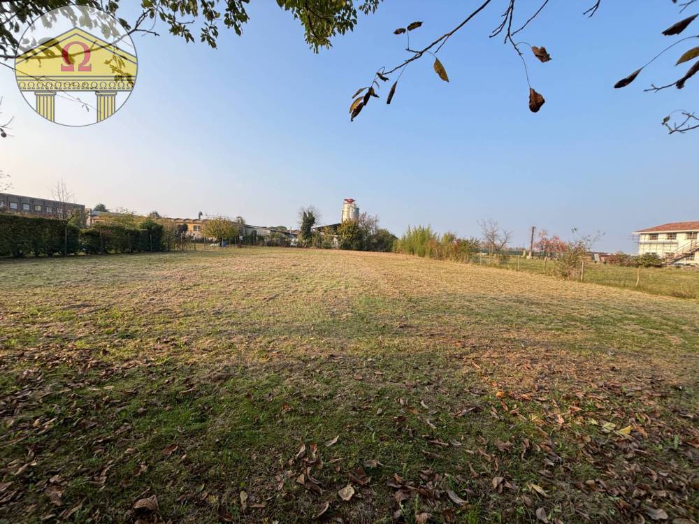 immagine annuncio 3 di 7