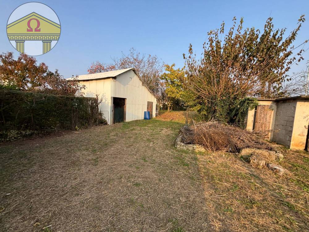 immagine annuncio 4 di 7