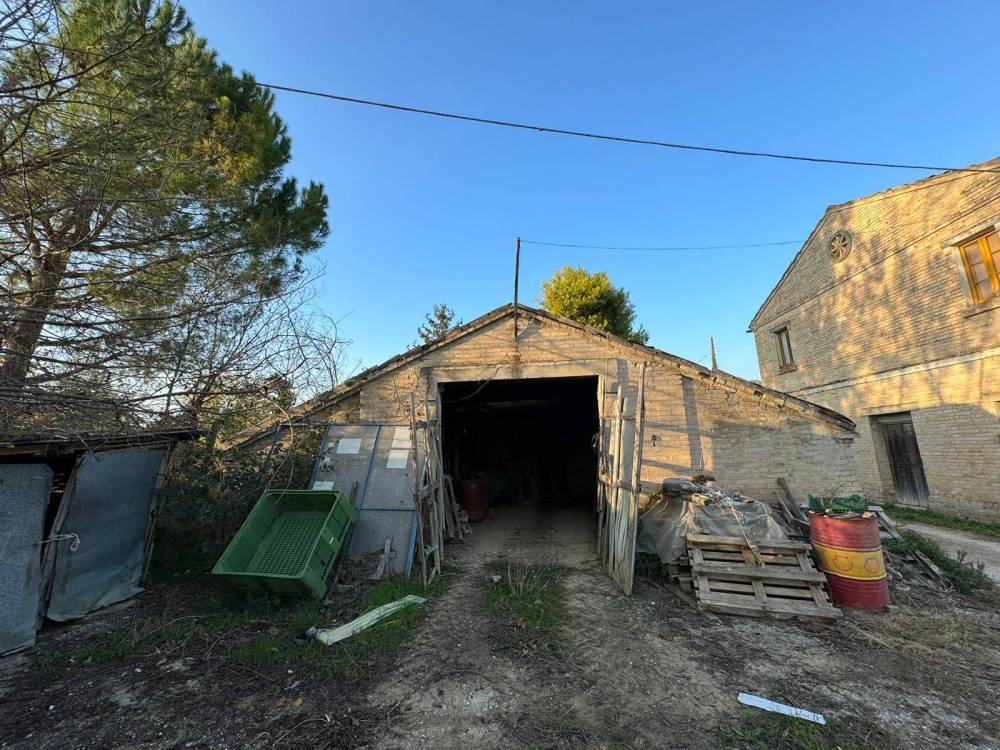 immagine annuncio 2 di 6