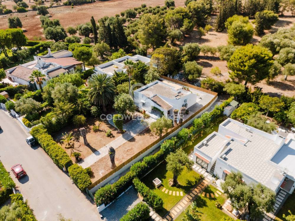 immagine annuncio 2 di 13