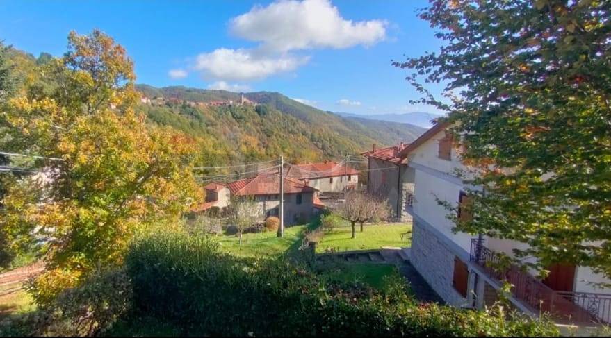 immagine annuncio 5 di 6