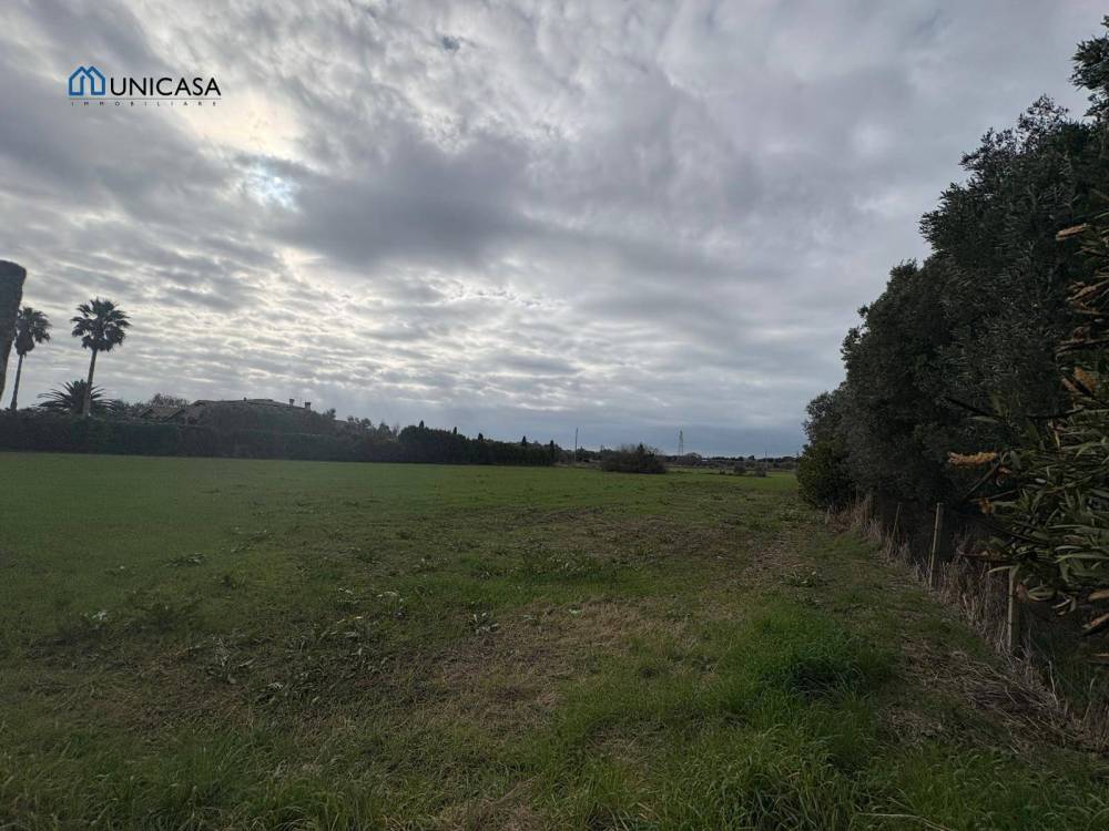 immagine annuncio 3 di 4