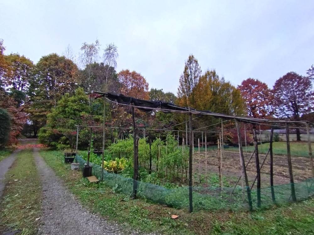 immagine annuncio 5 di 13