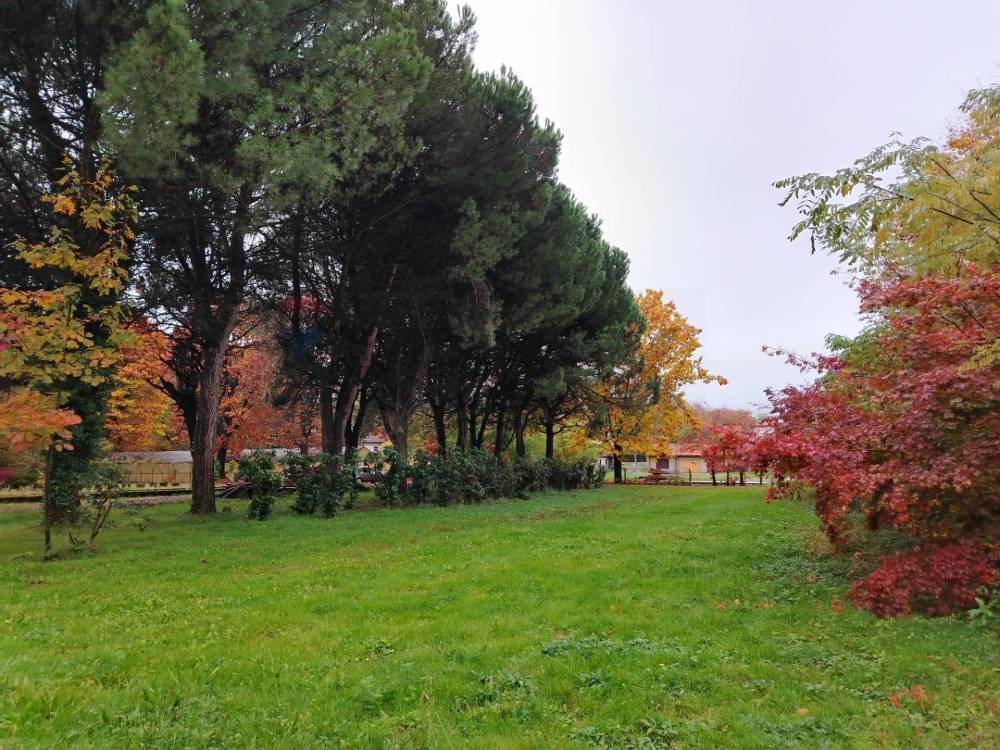 immagine annuncio 7 di 13