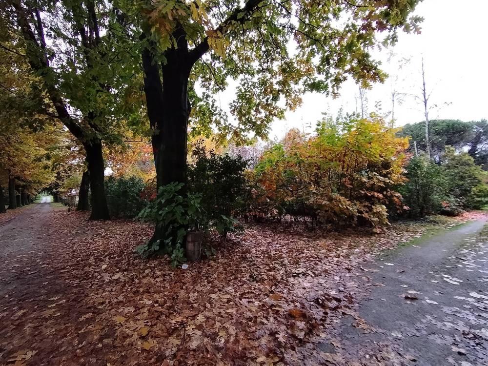 immagine annuncio 9 di 13