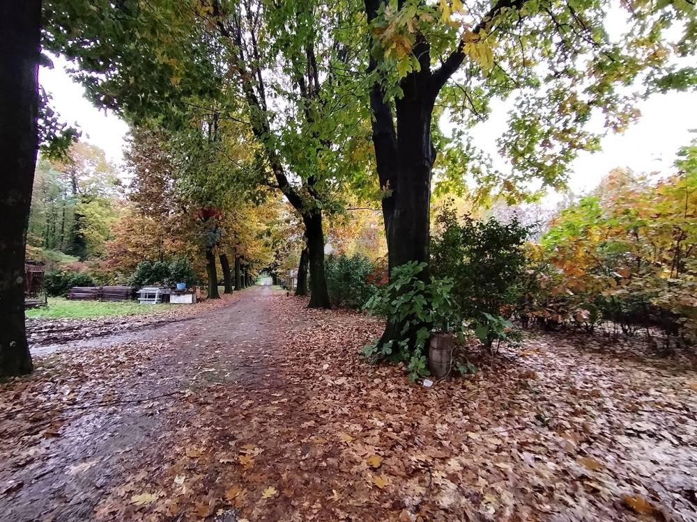 immagine annuncio 10 di 13