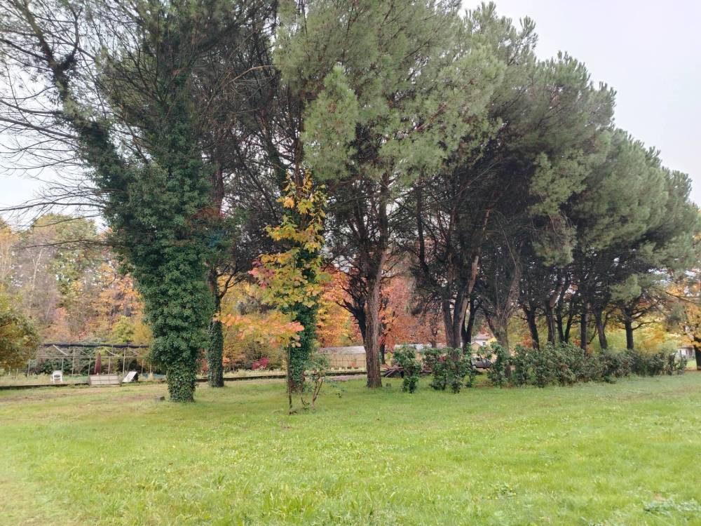 immagine annuncio 8 di 13