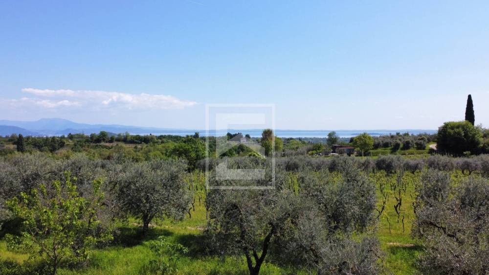 immagine annuncio 5 di 14