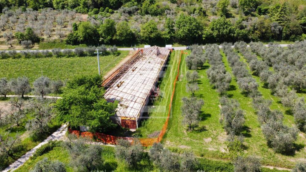 immagine annuncio 1 di 13