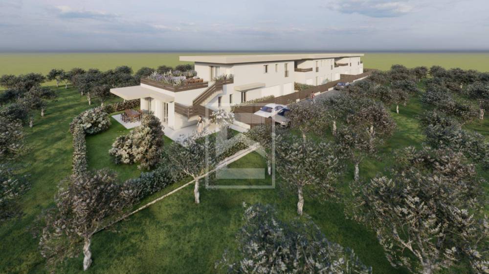 immagine annuncio 12 di 14