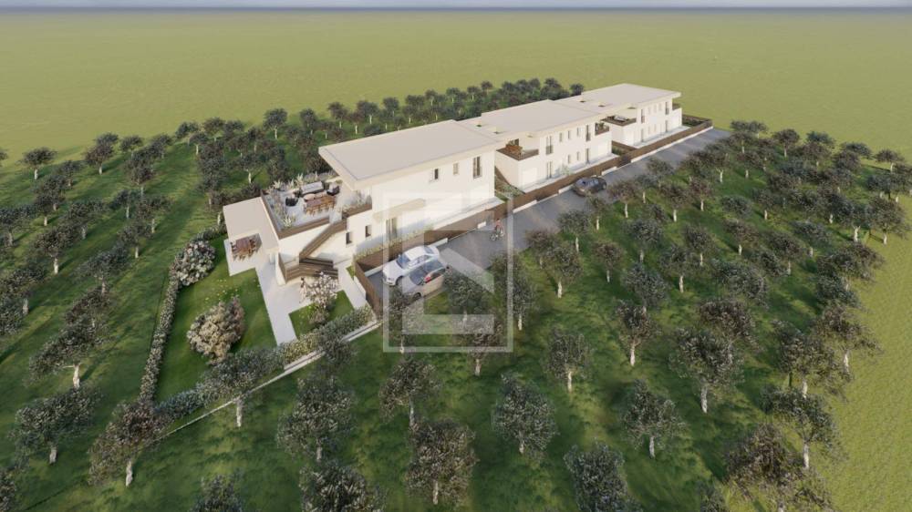 immagine annuncio 13 di 14