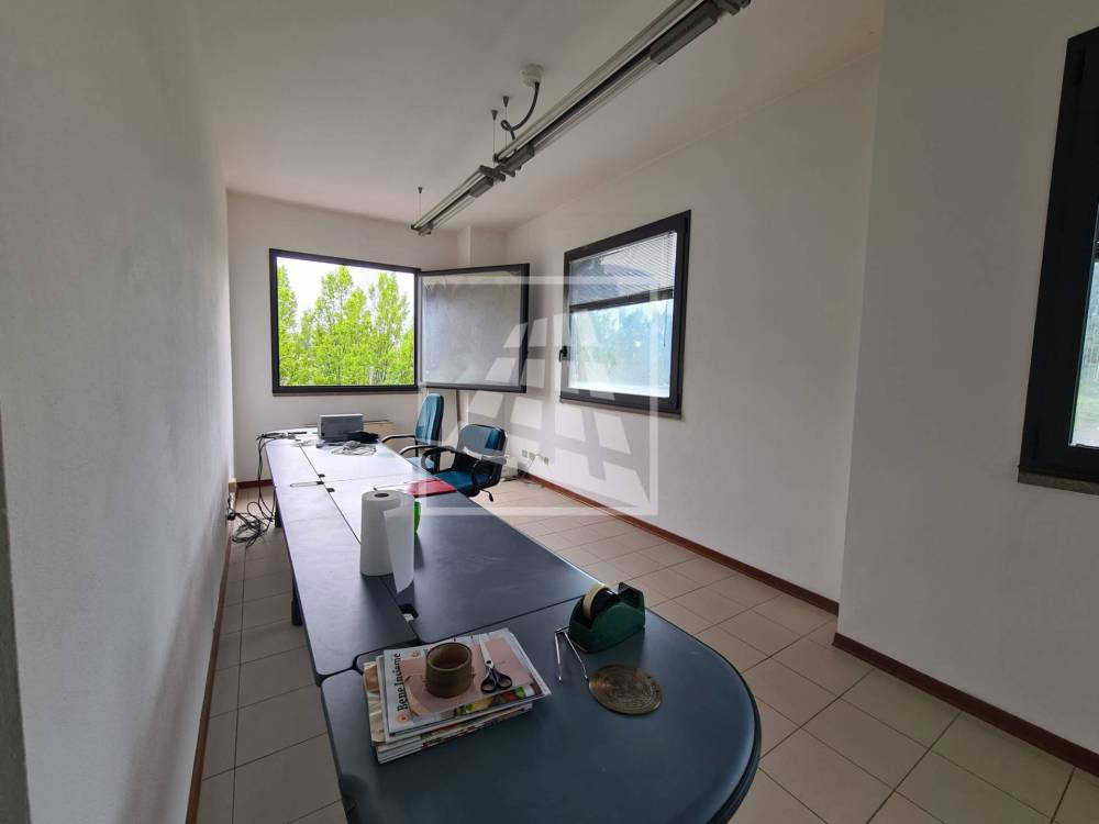 immagine annuncio 2 di 13