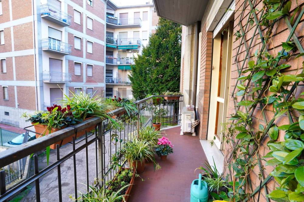 immagine annuncio 2 di 13