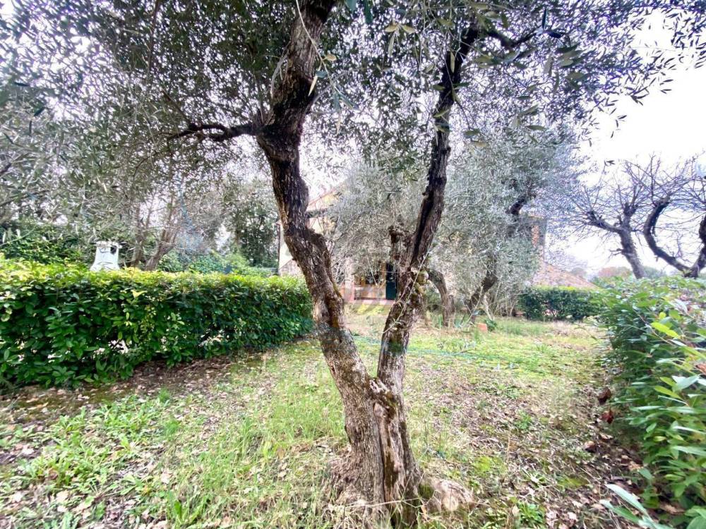 immagine annuncio 2 di 13