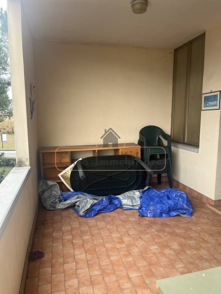 immagine annuncio 5 di 7