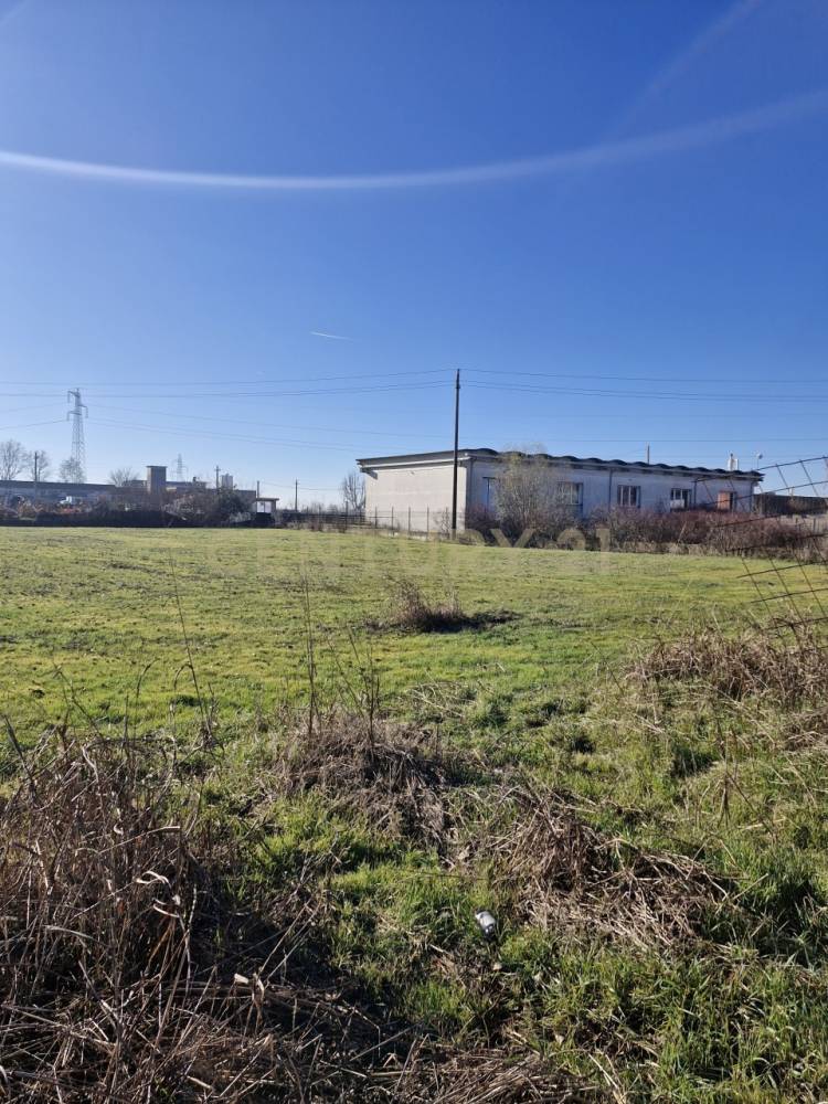 immagine annuncio 3 di 13