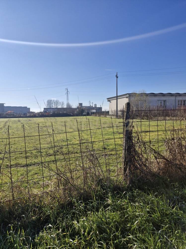 immagine annuncio 5 di 13