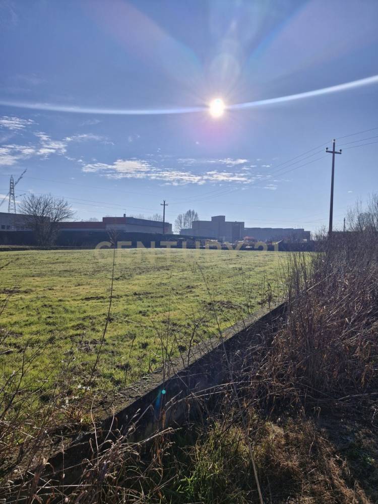 immagine annuncio 7 di 13