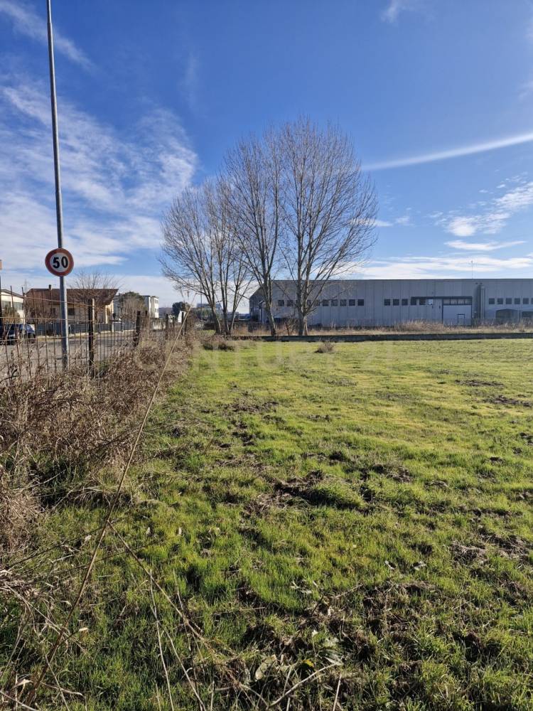 immagine annuncio 8 di 13