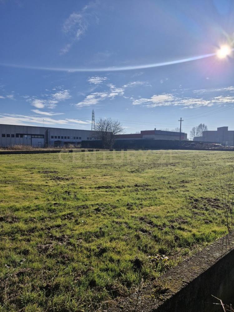 immagine annuncio 9 di 13