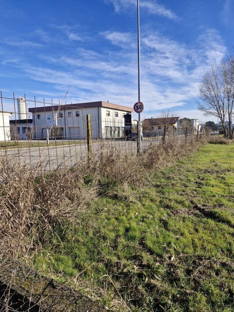 immagine annuncio 10 di 13