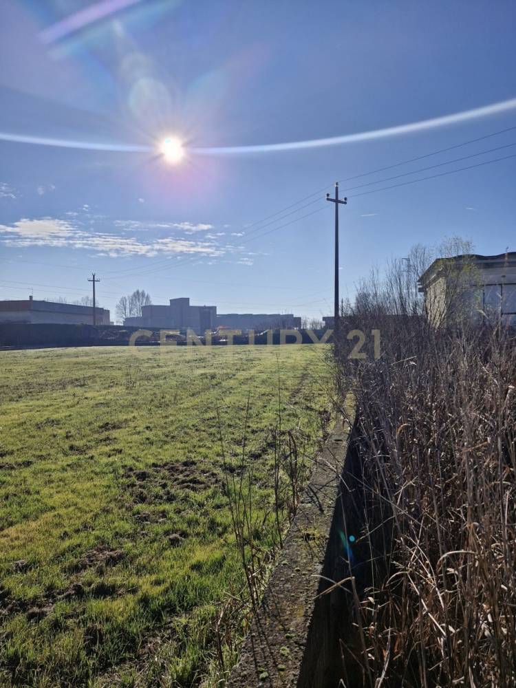 immagine annuncio 12 di 13