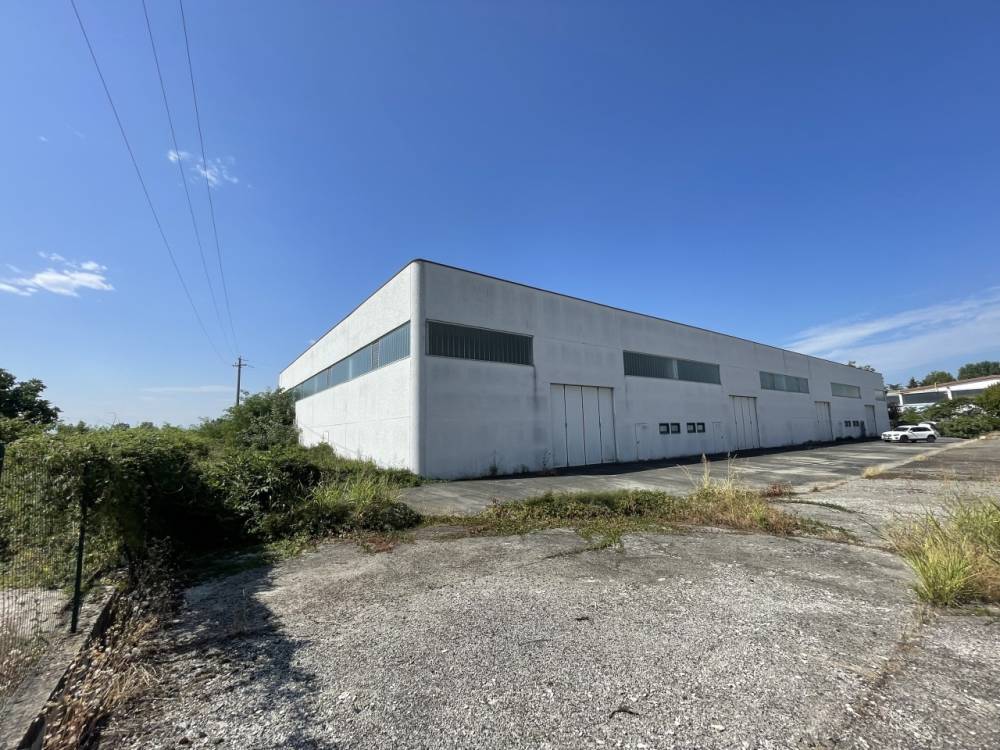 immagine annuncio 2 di 9