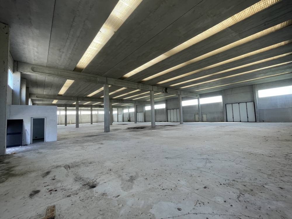 immagine annuncio 3 di 9