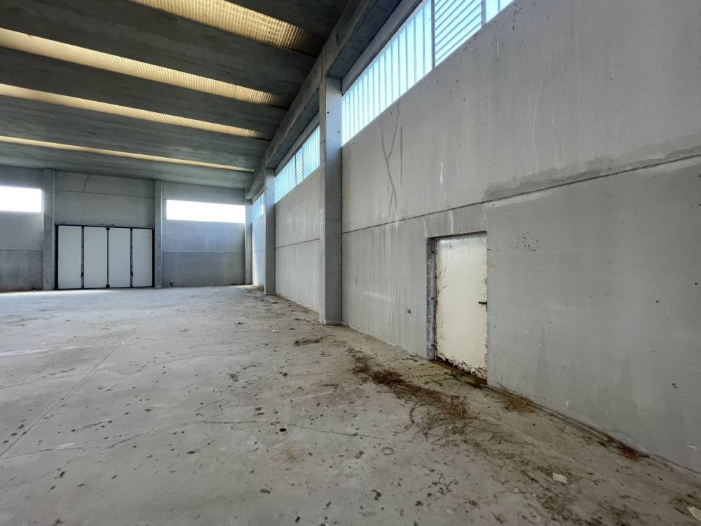 immagine annuncio 4 di 9