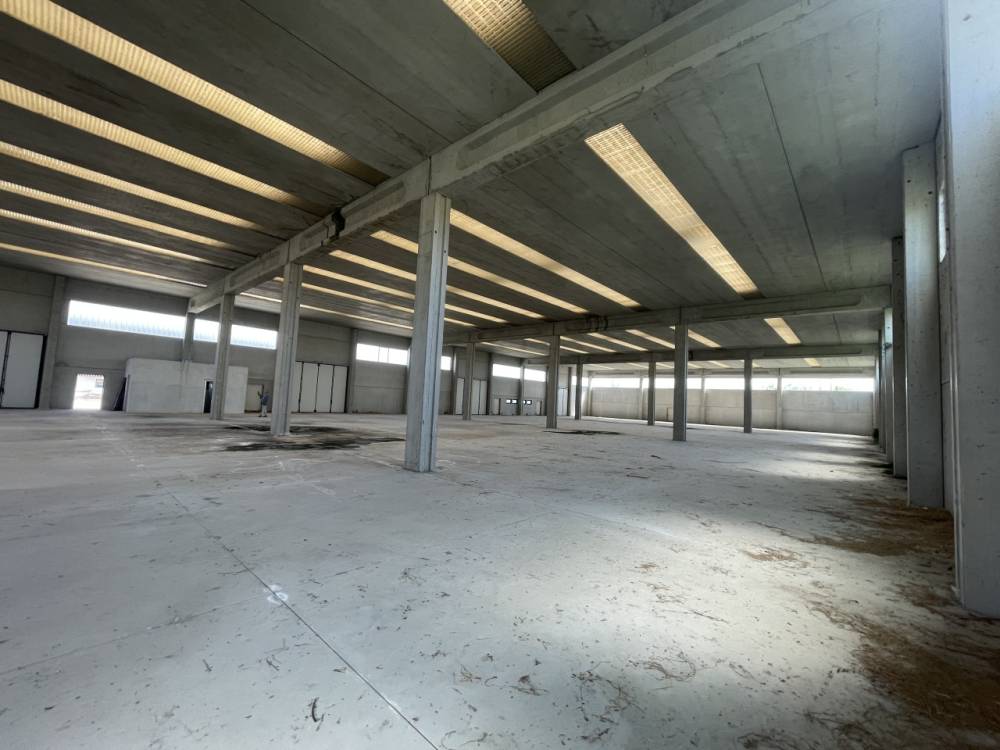 immagine annuncio 6 di 9