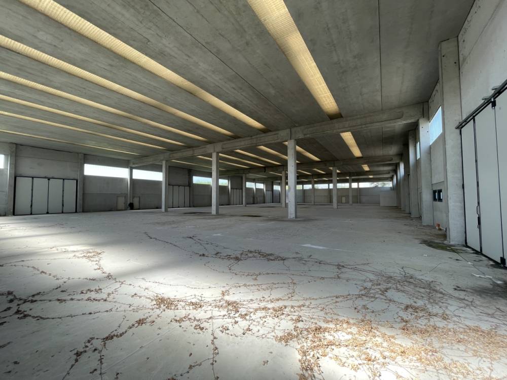 immagine annuncio 1 di 9