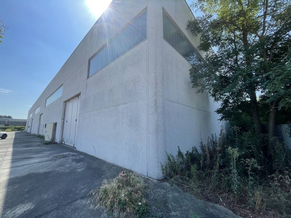 immagine annuncio 8 di 9