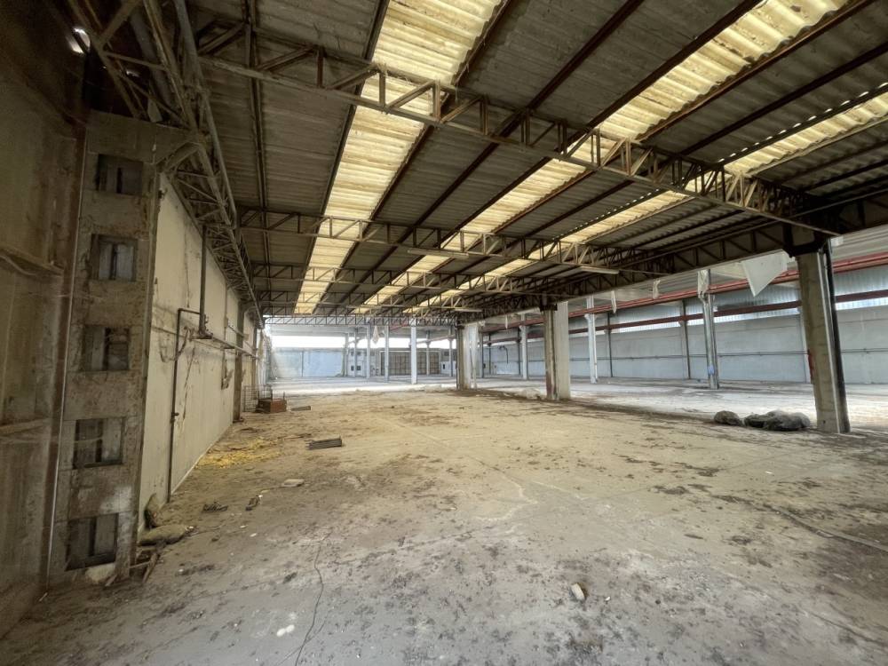 immagine annuncio 2 di 13