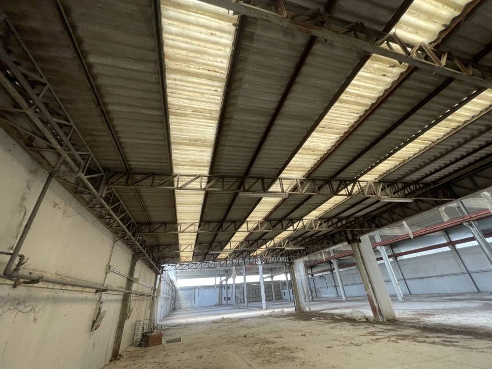 immagine annuncio 6 di 13