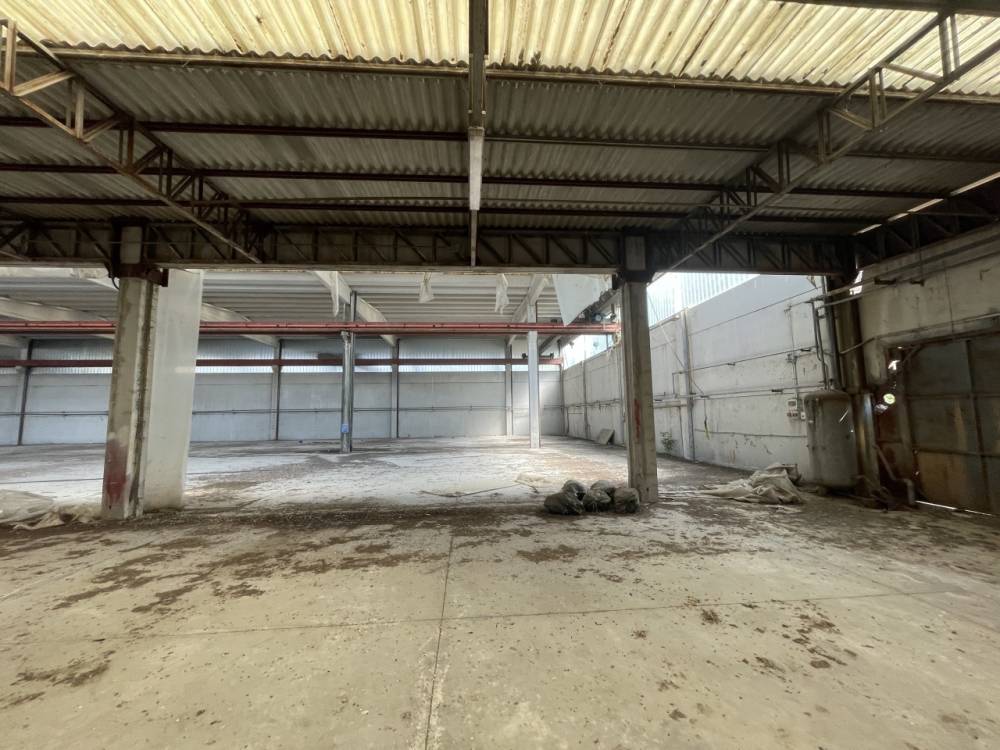 immagine annuncio 7 di 13