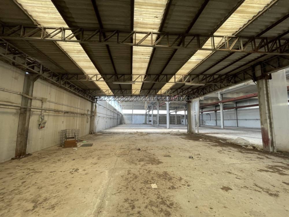 immagine annuncio 8 di 13