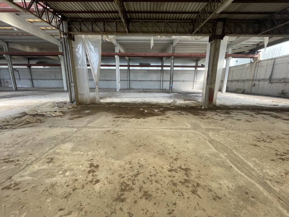 immagine annuncio 9 di 13