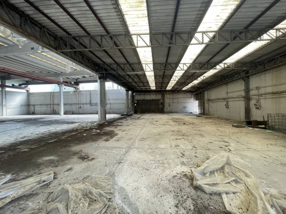 immagine annuncio 12 di 13