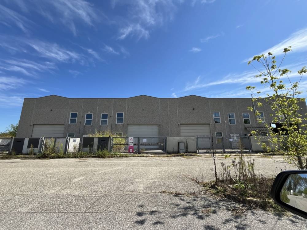 immagine annuncio 7 di 13