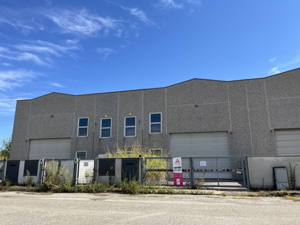 immagine annuncio 8 di 13