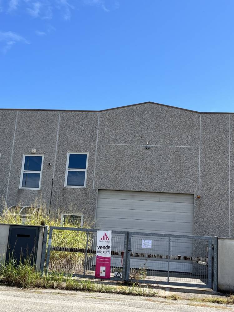 immagine annuncio 9 di 13