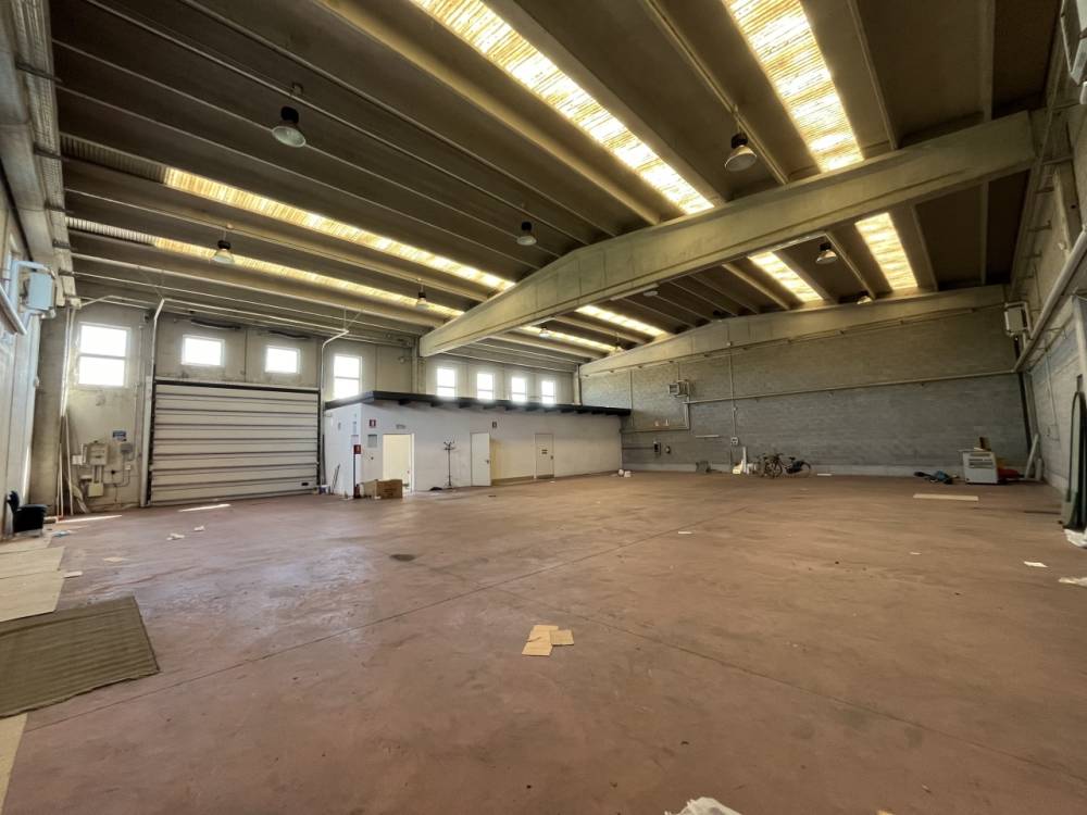 immagine annuncio 12 di 13